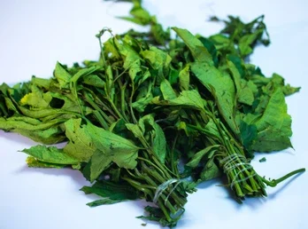 ugu leaves or pumpkin