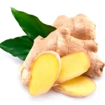 ginger 1024x929 1 1.webp