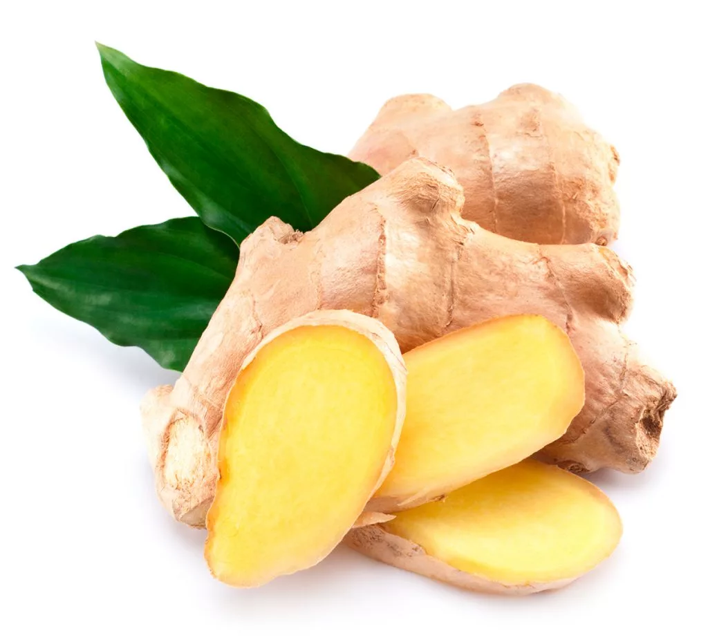ginger 1024x929 1 1.webp