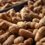 groundnut suppliers exporters nigeria 1.webp