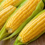 maize 1.jpg