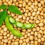 soya bean 1.webp